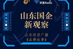 山东新闻线索爆料,揭秘某地神秘项目，引发社会广泛关注