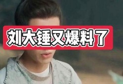 刘大锤以往爆料视频大全,揭秘娱乐圈幕后真相