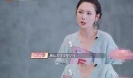 男子爆料黄圣依视频