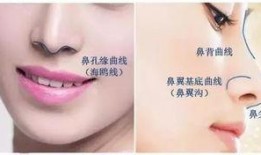 鼻子整形爆料视频大全,热门爆料视频大盘点