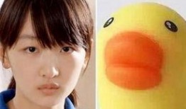 小黄萝卜爆料视频大全集,揭秘幕后真相与精彩瞬间