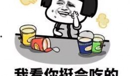 生活今日爆料图片表情包,表情包里的趣味瞬间