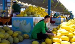 瓜州特色免费吃瓜,瓜州盛夏·免费瓜宴·畅享瓜乡风情