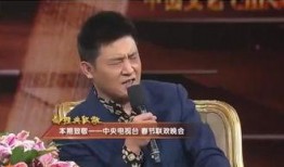 蔡文亮爆料孙涛视频,真相与争议并存