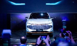 哈佛最新爆料新闻视频,最新爆料新闻视频深度解析