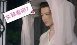 直播爆料秦霄贤事件视频,揭秘背后真相与争议