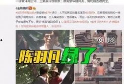 武汉出轨爆料案件最新,真相与舆论漩涡的较量