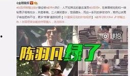 武汉出轨爆料案件最新,真相与舆论漩涡的较量
