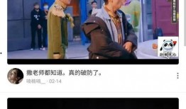 前沿爆料秘闻视频大全集,秘闻视频大全集深度解析