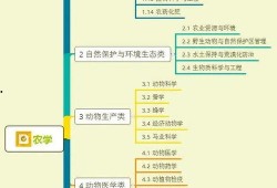 潮州爆料大宝视频大全集,揭秘潮州风俗人情与美食传奇