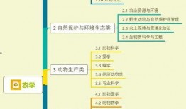 潮州爆料大宝视频大全集,揭秘潮州风俗人情与美食传奇