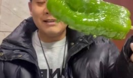 呼市网红吃瓜事件,揭秘网络舆论的风云变幻