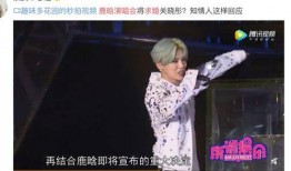 鹿晗爆料视频,幕后故事与真实自我