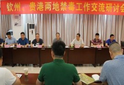 贵港最新爆料消息视频播放,视频揭秘惊人内幕，真相令人震惊！