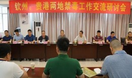 贵港最新爆料消息视频播放,视频揭秘惊人内幕，真相令人震惊！