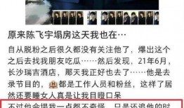 陈飞宇人品爆料视频大全,揭秘爆料视频背后的真相