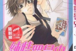 纯情罗曼史 在线观看,浪漫校园爱情故事，青春回忆再现