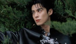 王鹤棣大瓜最新爆料图片,揭秘娱乐圈背后的惊人真相