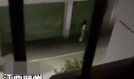 江西赣州女子爆料视频,揭露惊人真相