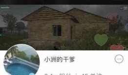 快手小洲最新爆料,揭秘娱乐圈幕后真相