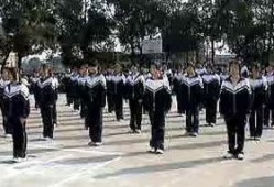 广播体操爆料视频完整版,健身与娱乐的完美融合