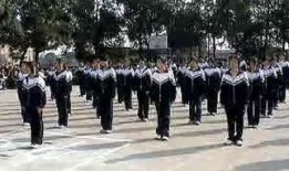 广播体操爆料视频完整版,健身与娱乐的完美融合