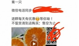 白城头条最新爆料,最新爆料事件深度解析