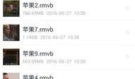 美国派8手机在线观看,青春校园的疯狂回忆
