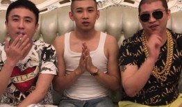 娱乐大爆料散打哥视频,娱乐大爆料背后的惊人真相