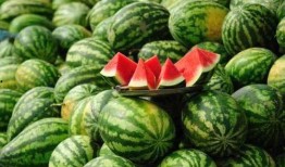 高端网红吃瓜视频大全下载,高清视频大全下载攻略