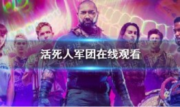 军团在线观看,揭秘虚拟战场上的英勇传奇