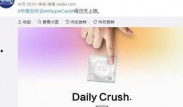 热点爆料有关视频有哪些