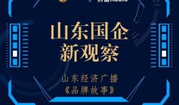 山东新闻线索爆料,揭秘某地神秘项目，引发社会广泛关注