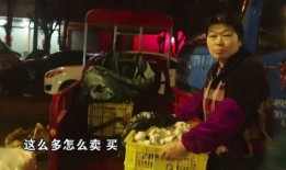 农村小燕爆料视频大全集,揭秘乡村生活百态