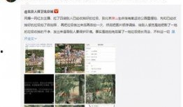 爆料吃瓜网红微博叫什么,吃瓜网红微博名背后的故事