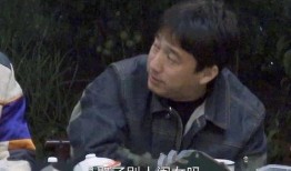 黄磊爆料玫瑰花视频播放,玫瑰花视频背后的故事