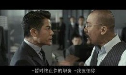 寒战1在线观看完整版,巅峰对决，暗流涌动的正义之战