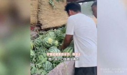 礼县网红吃瓜事件始末视频,一场网络狂欢背后的真相与反思