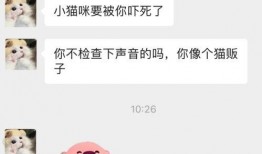 微信吃瓜聊免费最新,带你领略社交新潮流