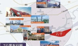 什么网站能看最新爆料,热门网站深度解析