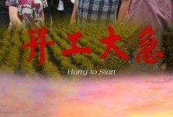 开工大急在线观看,在线观看，开启全新征程