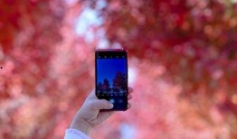 冬日枫 手机在线观看,手机在线观看，温暖冬日里的浪漫邂逅