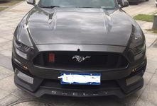 追逐野马在线观看,在线见证野马狂奔的惊心动魄