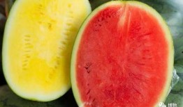 高端网红吃瓜视频大全下载,高清视频大全下载攻略