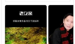 乐凡的爆料录音视频,事件背后惊人真相