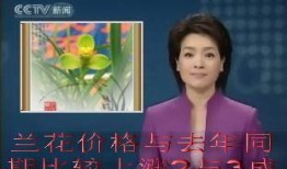 央视7套直播在线观看,实时掌握农业资讯，畅享在线观看体验