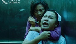 二凤电影在线观看观,在线观看，领略东方武侠魅力