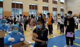 佛山都市爆料新闻最新消息,都市生活新动态，揭秘城市热点事件