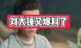 刘大锤爆料预告最新视频