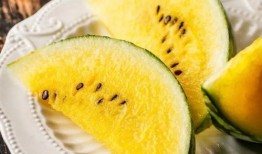 广艺网红吃瓜,揭秘娱乐圈幕后故事